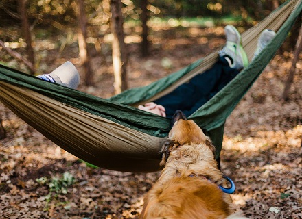 5 Benefits of Owning a Hammock: Relaxation, Health, and More